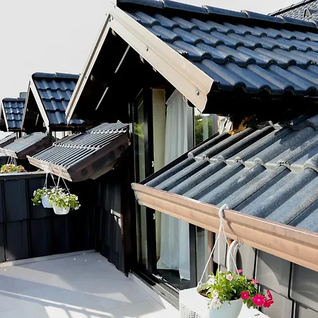 Dusha At Kruja's Mountain *